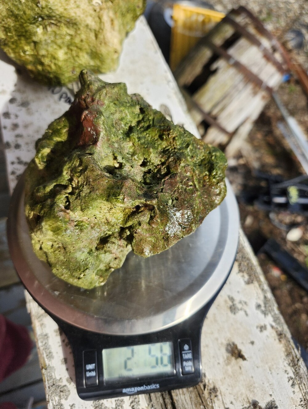 Fiji Dry Base Rock for Saltwater Aquarium Setup Natural Reef Rock Aquascaping